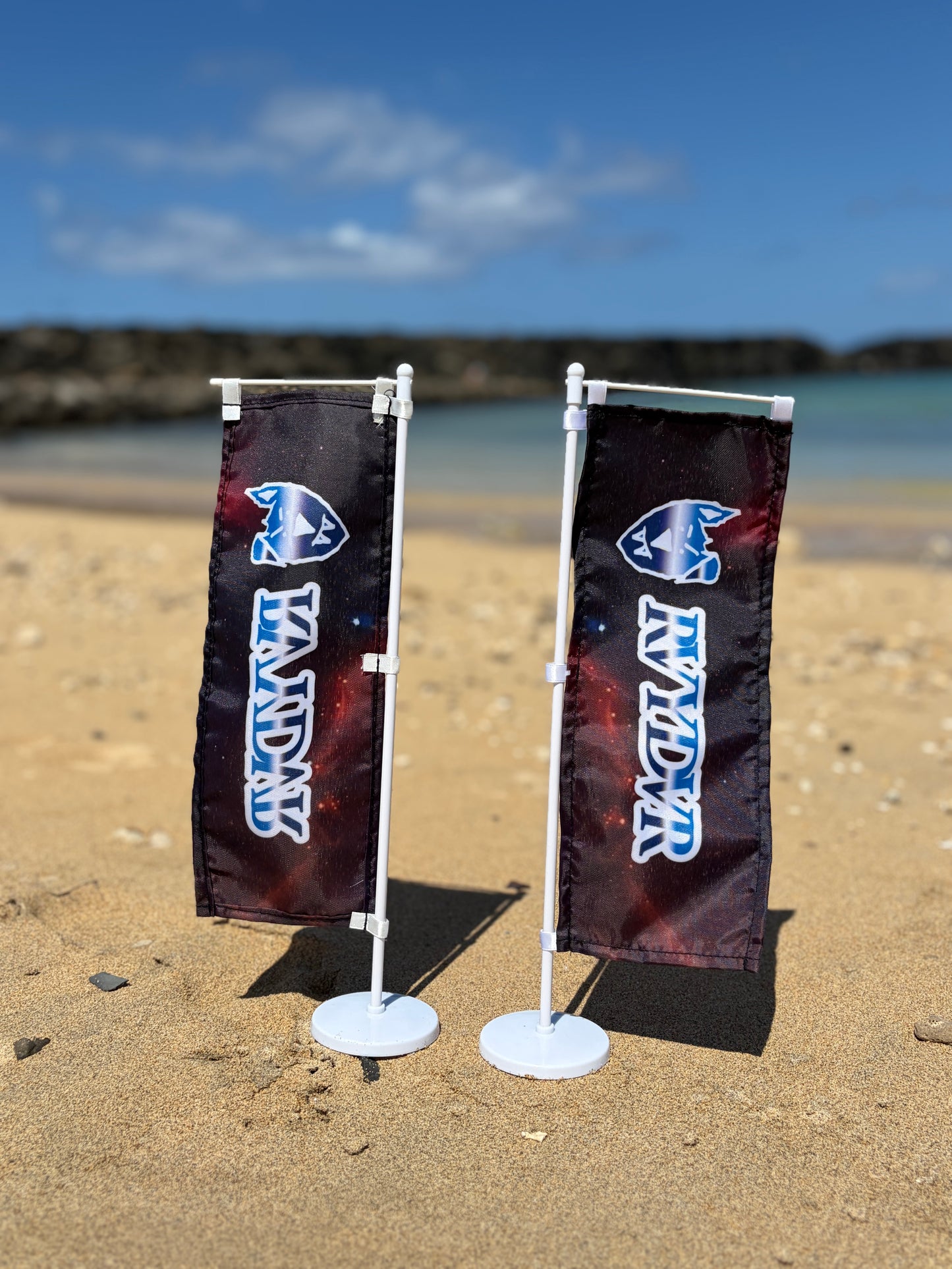 RVYDVR mini nobori flag